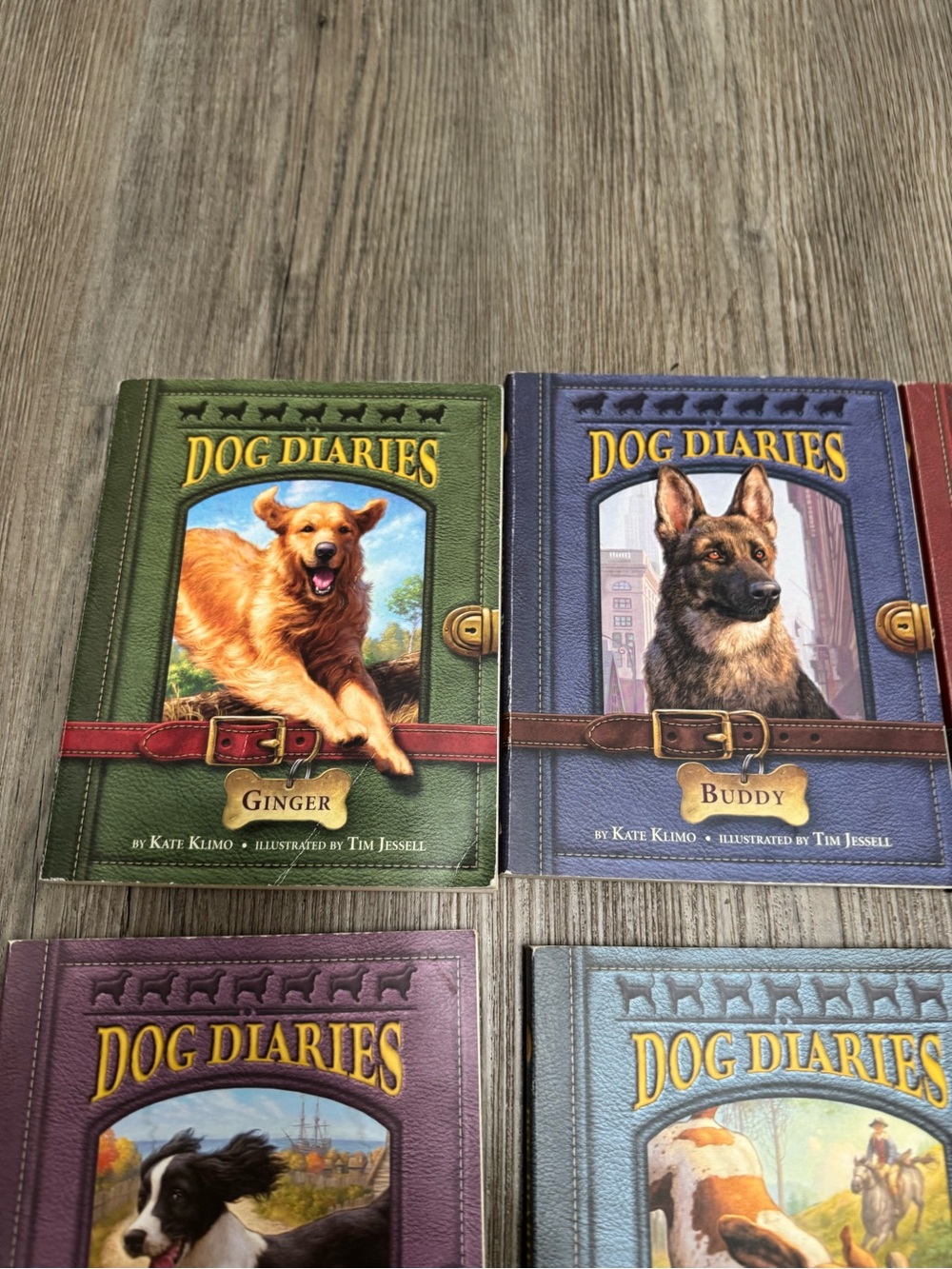 Dog Diaries 1-12 Series Paperback Books - Picture 3 of 13